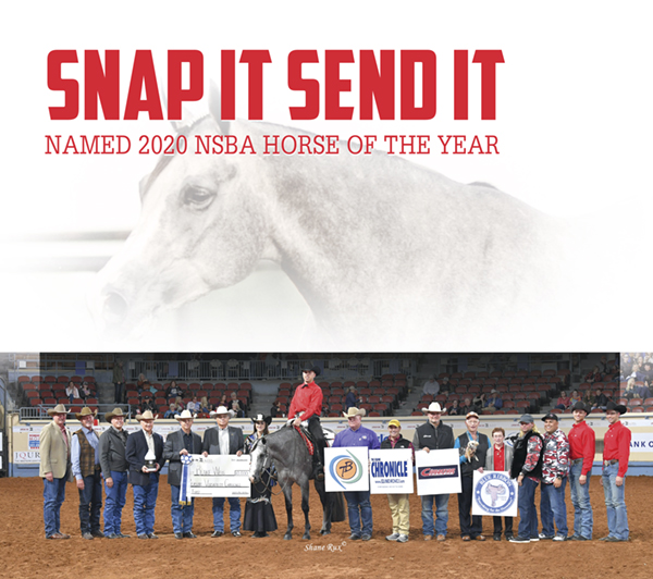 Snap It Send It Named 2020 NSBA Horse of the Year