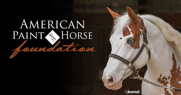 Five New Members Named to American Paint Horse Foundation Board