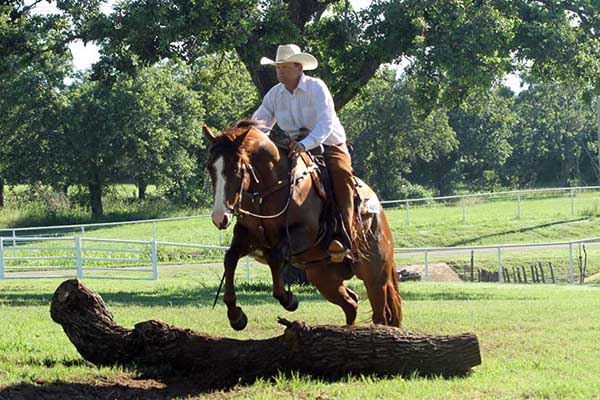 Largest AQHA Versatility Ranch Horse World Championships in History With 30% Increase