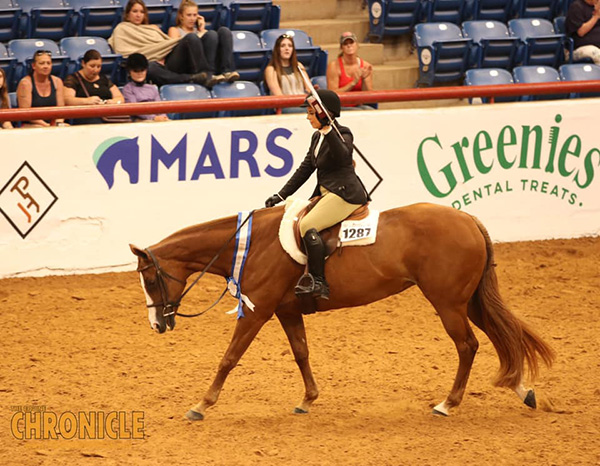 APHA World Champions Include Drawdy, Byers, Gralla, Baer, and More
