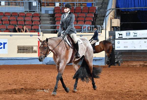 Competing at the AQHA Youth World? Apply For Youth Activities Scholarship by July 1st