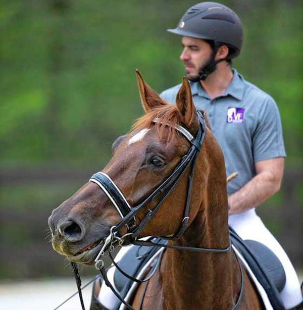 Tips For Staying Away From Barn Drama