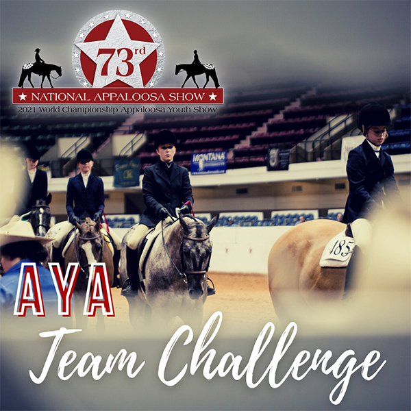 All New AYA Team Challenge at Appaloosa Nationals and Youth World