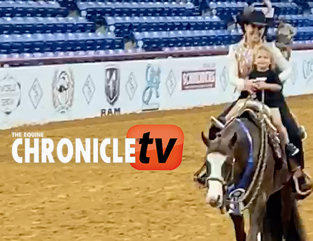 EC TV- 2021 APHA World Show – 3-Year-Old Trail and Junior Trail