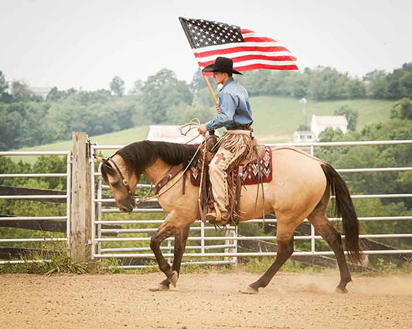 Two QH Congress Horse Sales – New Entry Deadlines