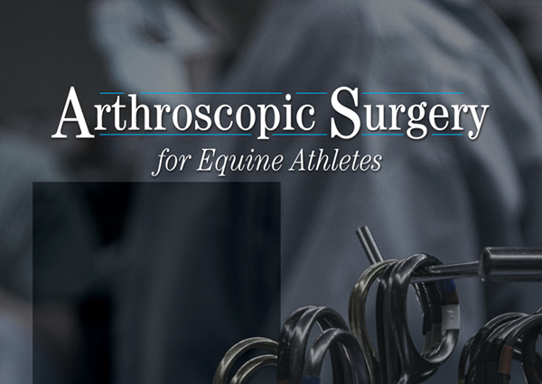 Arthroscopic Surgery for Equine Athletes