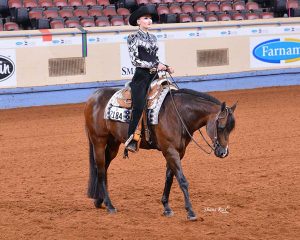 Veste D'équitation Western Connies Show - Taille SM - Showmanship - Occasion USA