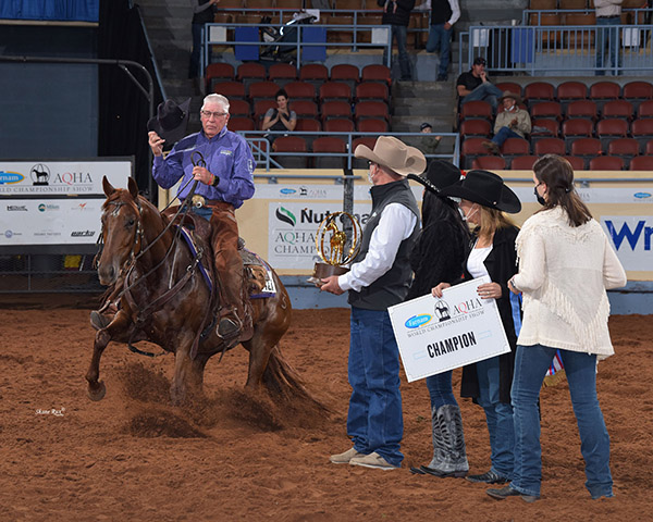2021 AQHA and Select World Show Entry Information