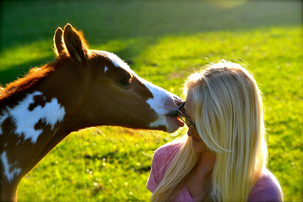 EC Photo of the Day- Horse Nuzzles