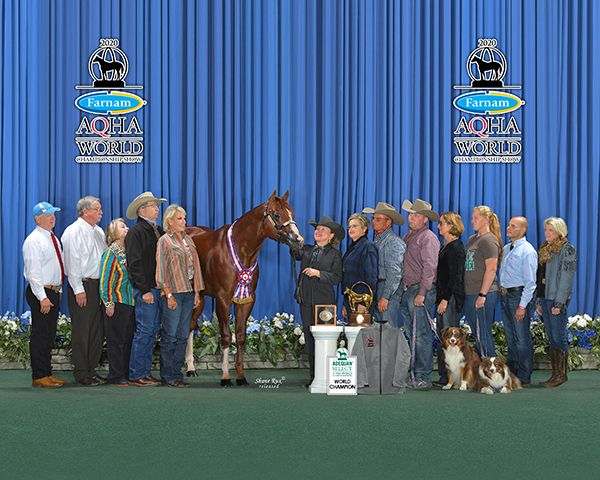 BHF Announces New Stakeholders, Joy and Jeff Stehney, and New Amateur Stallion Slot For Raylan Givens