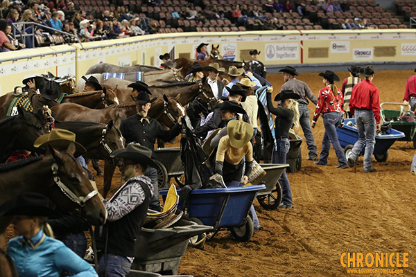 19 Horses to Compete in Pleasure Versatility Challenge at AQHA World- Check Out the Lineup!