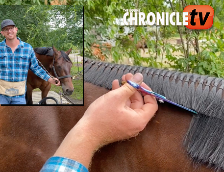 EC TV- How to Band a Horse’s Mane