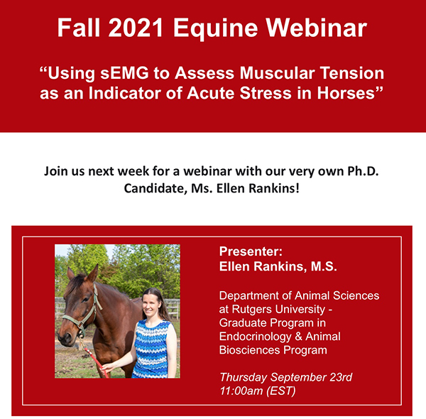 Today’s Webinar- Using sEMG to Assess Muscular Tension and Indication of Acute Stress in Horses