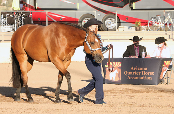 Summer Rankings For AZ Sun Circuit National Championship