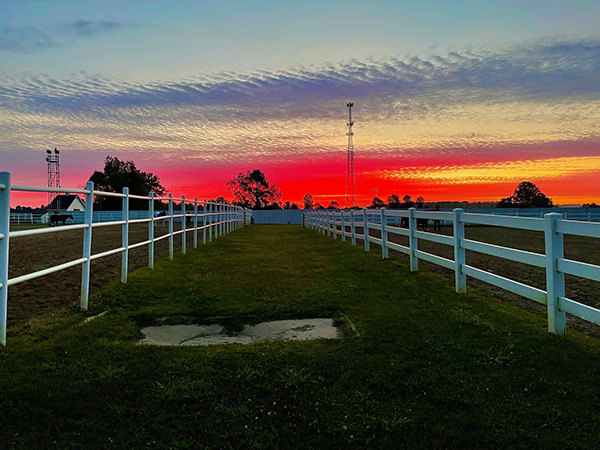 EC Photo of the Day- Horse Show Sunset