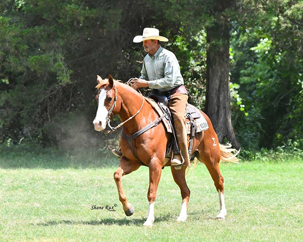 Next AQHA Ranching Heritage Challenge in Amarillo Sept. 19th