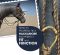 How To Properly Tie a Hackamore For Perfect Fit and Function How To Properly Tie a Hackamore For Perfect Fit and Function