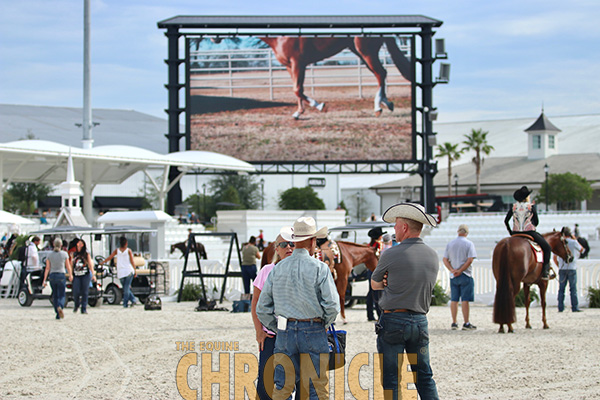 An Equine Production to Manage A Sudden Impulse Futurity AND The Championship Show in 2022