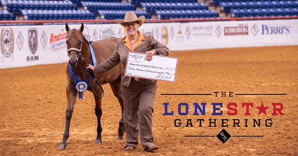 APHA/WCHA Lone Star Gathering Awards Over $1.1 Million to Halter Exhibitors