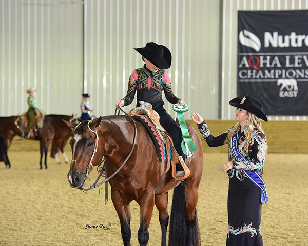 2022 AQHA Level 1 Championships Return as Separate Events