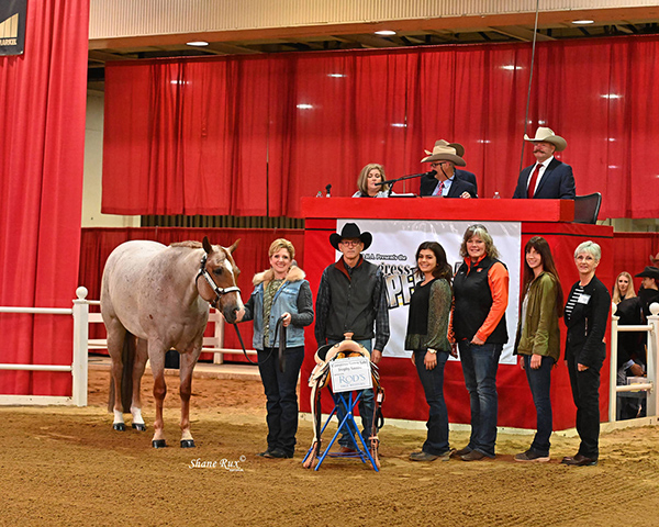 Congress Super Sale Rod’s Trophy Saddle Award