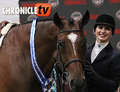 ECTV- 2021 Quarter Horse Congress- Amateur Equitation