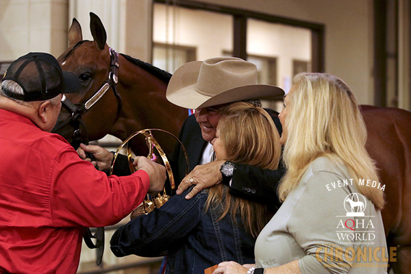 Happy Thanksgiving From The Equine Chronicle!