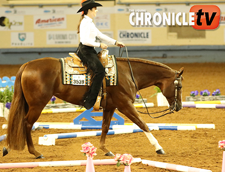 ECTV- 2021 AQHA World Show- Amateur Trail