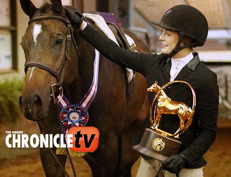 ECTV- 2021 AQHA World Show- Amateur Equitation