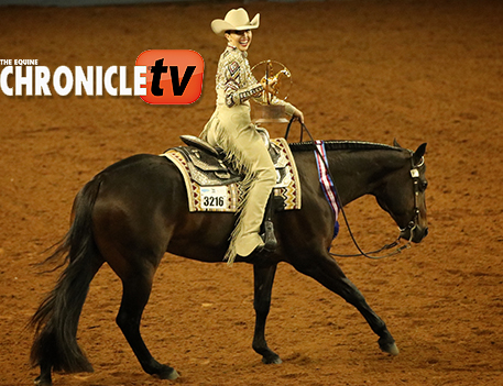 ECTV- 2021 AQHA World Show- Amateur Horsemanship