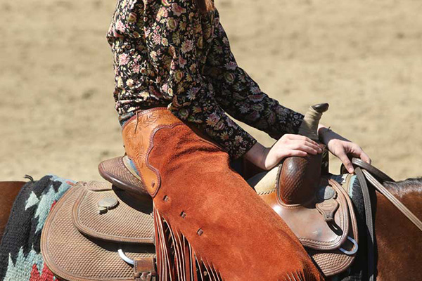 AQHA Ranching Heritage Challenge- Jan. 1-5