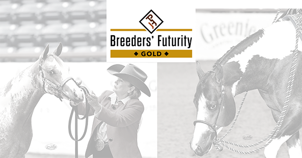 Gold Division of APHA Breeders’ Futurity Announces Program Enhancements