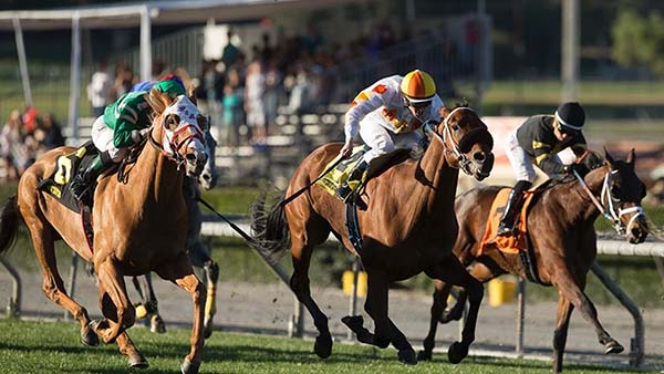 Equine Surgeons and Ophthalmologists Help Return Champion to Winner’s Circle