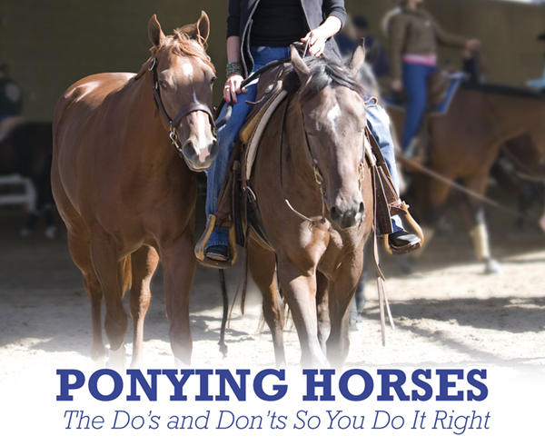 Ponying Horses – The Do’s and Don’ts