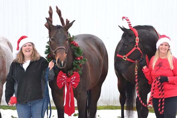 EC Photo of the Day- Christmas Hijinks