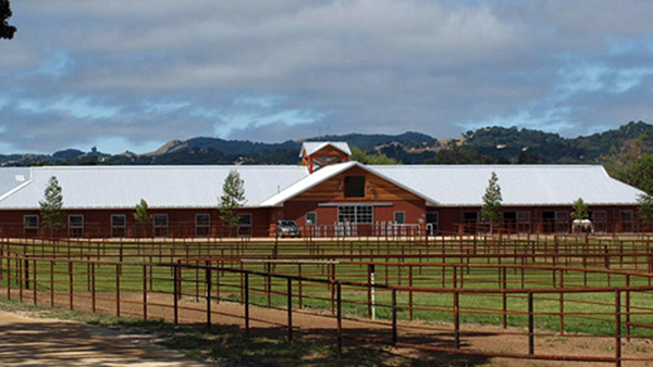 UC Davis Alumna Donates 52-Acre World-Class Sport Horse Facility