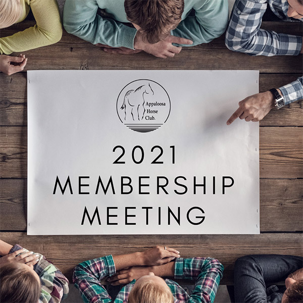 Join the ApHC Membership Meeting Via Zoom