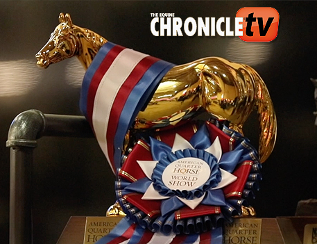 EC TV- Thanks For The Memories- AQHA World 2021