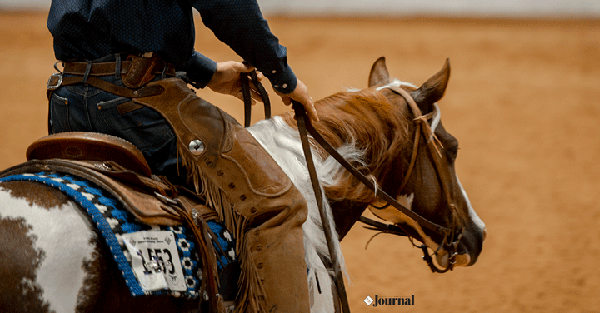 Junior Horse Recognition to be Provided in 13 APHA World Show Classes
