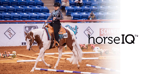 Discover Secrets of Horse Showing at HorseIQ Live