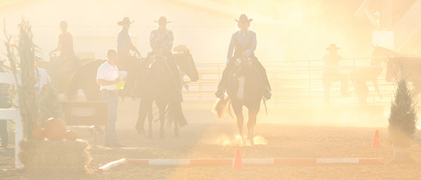 Check Out AQHA’s Online Level Verification System For 2022