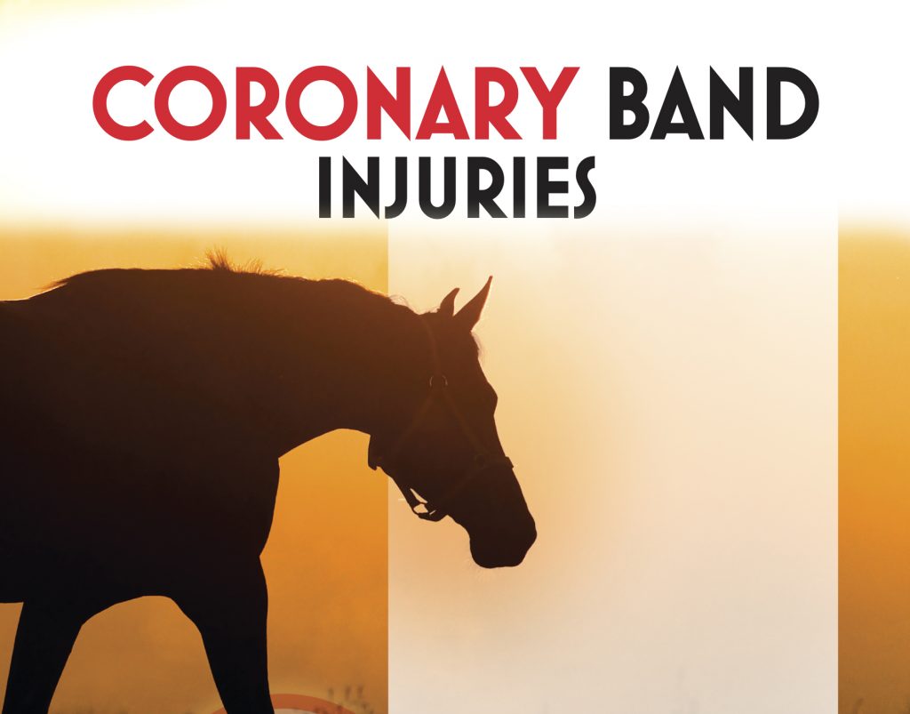 Coronary Band Injuries Equine Chronicle