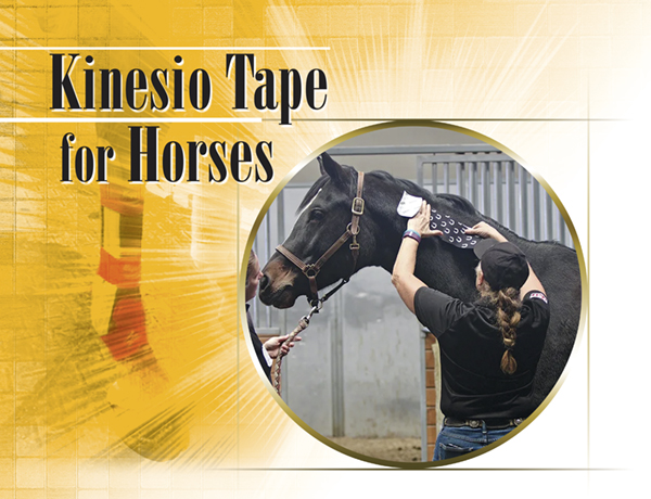 Kinesio Tape for Horses