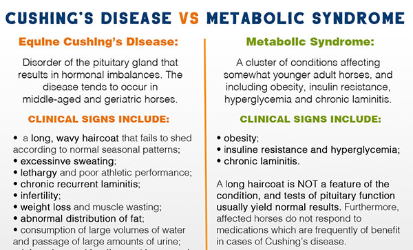 Cushing’s Disease VS Metabolic Syndrome