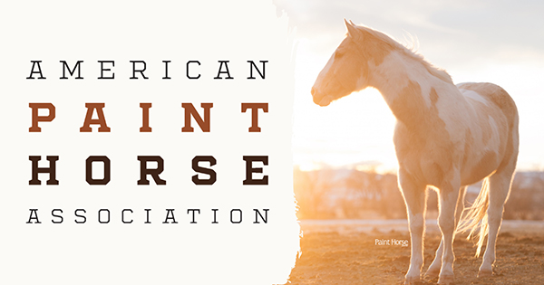 APHA “Star” Internship Opportunities For 2022