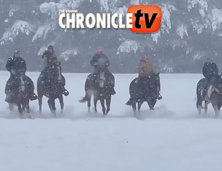 EC TV – A Real Snow Day