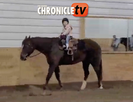 EC TV- I Want to Go to a Horse Show!