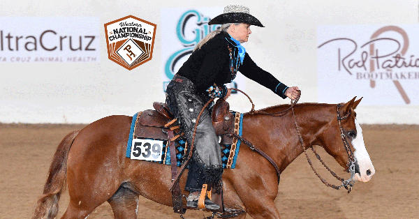 2021 APHA High Point Ranch Horses Named