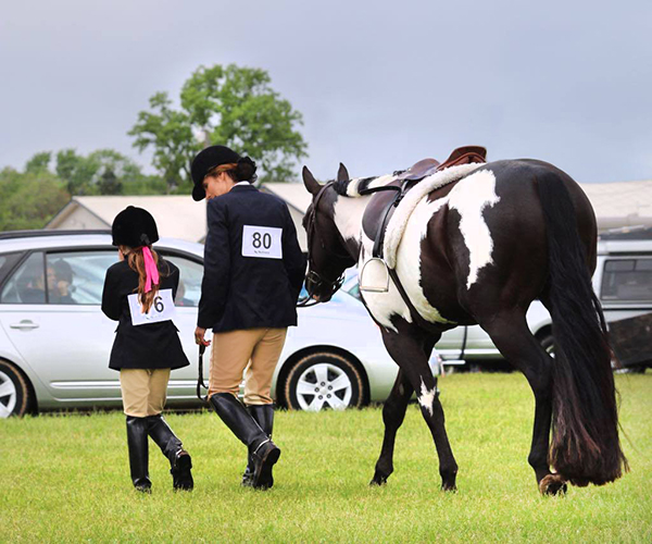 EC Photo of the Day- A Perseverance Lesson