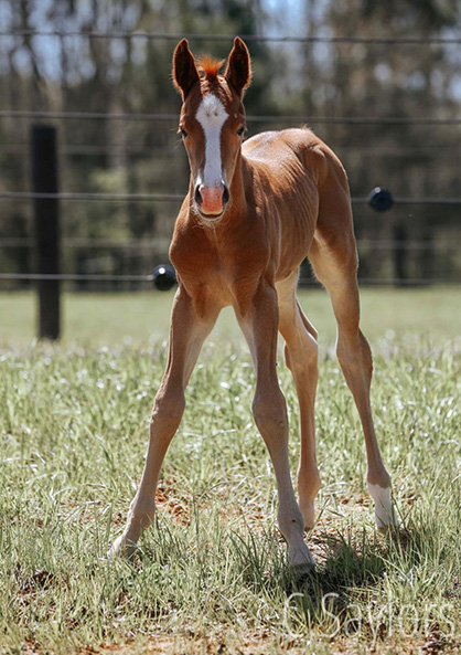 EC Photo of the Day- New Life